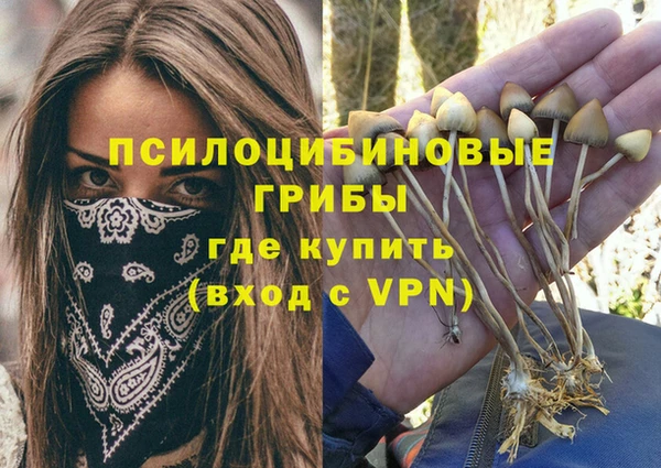 каннабис Бородино