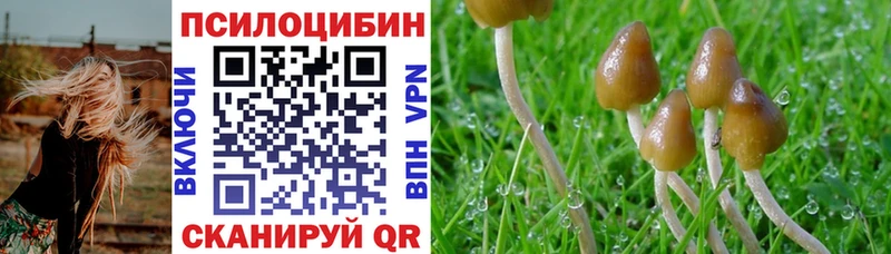 где купить наркоту Волосово Галлюциногенные грибы ЛСД